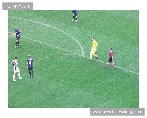 意甲球迷组织呼吁改善球场安全措施