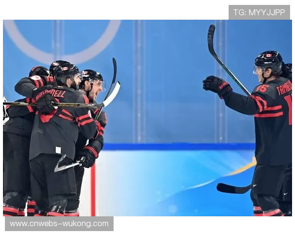 加拿大男冰9-2大胜法国，比赛末段爆发冲突事件